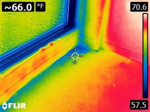 thermographic-imaging